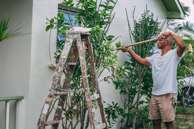 Home-Maintenance