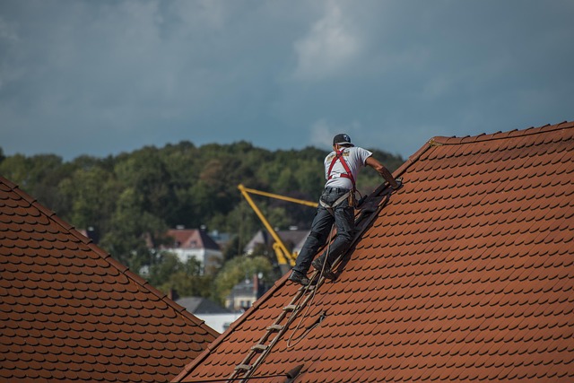 Your-Roof
